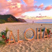 Hawaii Aloha image